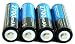 AccessoryPOWER TRUCell Premium AA NiMH 2700 mAh Rechargeable Battery PACK - Recharge up to 1000x