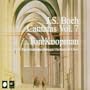 J.S. Bach: Cantatas, Vol. 7