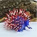 Oaxacan Carving of a Porcupine by the Ortocha Family