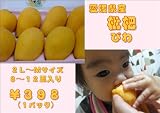 愛媛県産 枇杷 10パック【送料無料】 Lpo