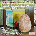 Himalayan Salt Lamp - Small Comes with Electric Cord, Bulb, Manual & Place Mat