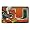 Miami Hurricanes