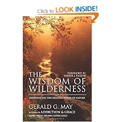 The Wisdom of Wilderness: Experiencing the Healing Power of Nature