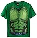 The Incredible Hulk Smash Costume Torso Youth T-Shirt