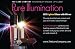 LED LIP GLOSS - PURE ILLUMINATION - WINEBERRY- Push Button
