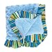Popsicle Snuggle Blanket