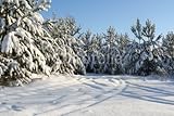 IMAGE OF Wallmonkeys Peel and Stick Wall Decals - Winter Wood - 48