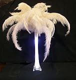 Natural WHITE 100 Floss Ostrich FEATHER~10"-13" Long~For Eiffel Tower Vase Arrangements