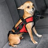 Snoozer Pet Safety Harness with Adapter Combination, Small, Red and Black
