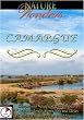 Nature Wonders  CAMARGUE Provence/France