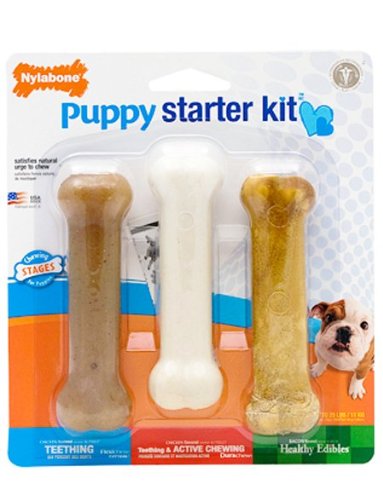 Nylabone Puppy Chew Toy Starter Kit