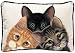 Peeping Toms Kitten Kitty Cats Home Decor Throw Pillow Image
