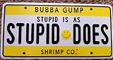 Stupid Is As Stupid Does Novelty License Plate