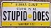 Stupid Is As Stupid Does Novelty License Plate