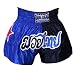 XL RED * DUO KING * Muay Thai Kickboxing Boxing Shorts