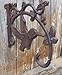 Big Sky Antiques Plant Hanger Holder Hook Rustic Cast Iron 10 x 9 inch Hummingbird