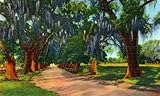 Audubon Park Lovers' Lane, New Orleans - Fine-Art Giclée Photographic Print - 8