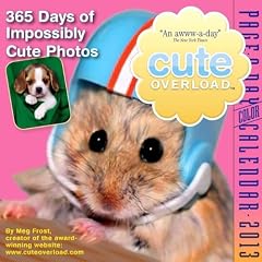 Cal 2012 Cute Overload (Page a Day Calendar)