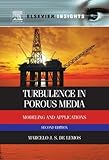 Turbulence in porous media : modeling and applications