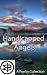 Handicapped Angels: A Poetry Collection