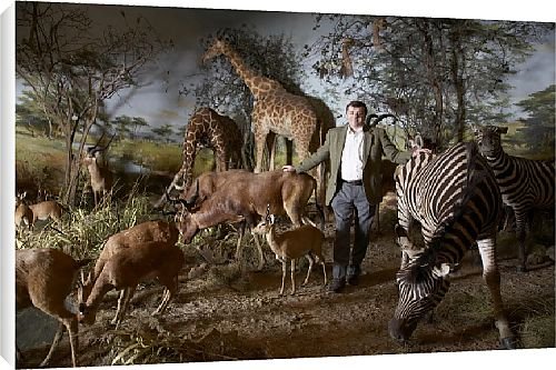 Canvas Prints of Best of British from Country Life 