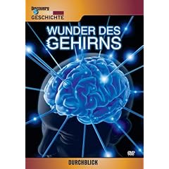 Durchblick - Wunder des Gehirns