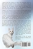 Turkish Angora Cats Owner's Manual. Turkish Angora Cats care, personality, grooming, health and feeding. Turkish Angora Cats Owner's Manual. Turkish Angora Cats care, personality, grooming, health and feeding.
