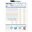 Board Dudes Magnetic Dry Erase Rewards Chore Chart (11020-4)