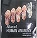 Atlas of Human Anatomy