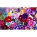 (100) Assorted Flower Heads-2"-5.5"