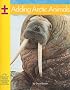 Adding Arctic Animals (Yellow Umbrella Books: Math - Level A)