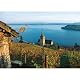 Puzzle 1000 Teile - Ligerz am Bielersee