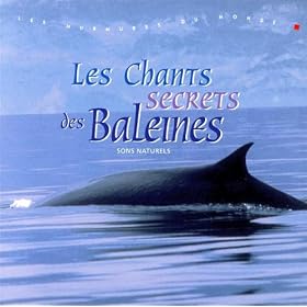 Les Chants Secrets Des Baleines