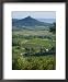 Szigliget Peninsula, Lake Balaton, Hungary Framed Art Poster Print by Doug Pearson, 18x22