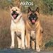 Akitas 2009 Square Wall Calendar (Multilingual Edition)