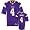 Minnesota Vikings