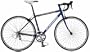 Schwinn Fastback Road Bike (700c Wheels, Large)