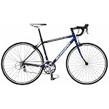 Schwinn Fastback Road Bike (700c Wheels, Small)