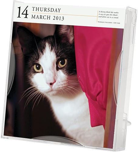 2013 CAT 365 days Gallery Desk/Boxed Calendar