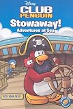Stowaway! Adventures at Sea (Pick Your Path)