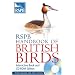 RSPB Handbook of British Birds Interactive Edition