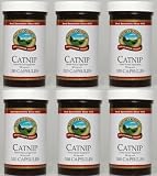 CATNIP Herbal Dietary Supplement, 100 Capsules, 300 mg each, Kosher, "FAST SHIPPING" 6 PACK SAVING!