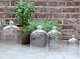 Glass Cloche