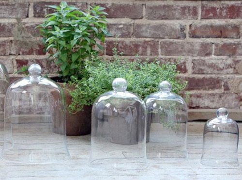 Glass Cloche Bell Jar, TALL 15x9", CLEAR