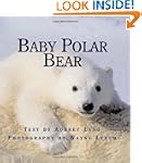 Baby Polar Bear