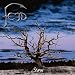 Fejd-Storm