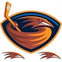 Atlanta Thrashers Removable Logo - 24x24"