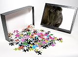 Photo Jigsaw Puzzle of -23 from Flpa