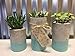 Concrete Succulent Planters. Urba planters (set of 3). Blue.