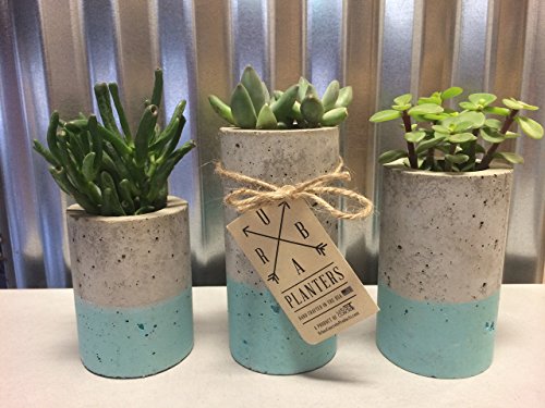 Concrete Succulent Planters. Urba planters (set of 3). Blue.
